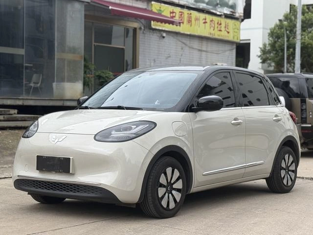 2024 Wuling Bingo usado 333km FWD Exportación Global