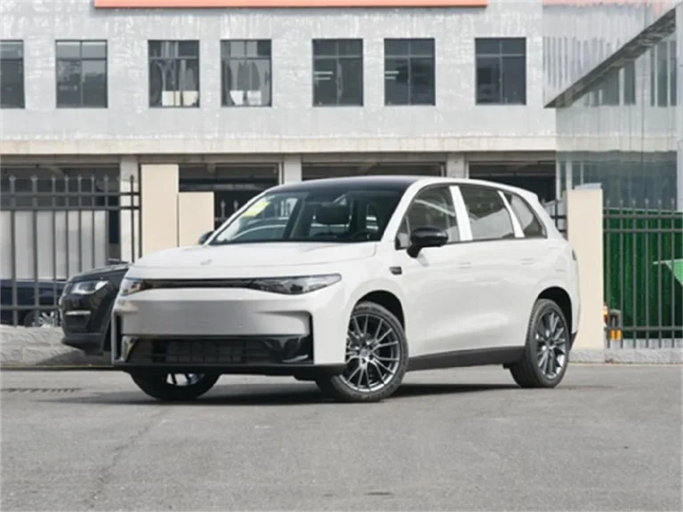 Wholesale LEAPMOTOR C10 SUV from China