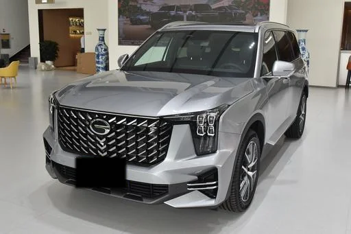 Wholesale 2025 Gac GS8 2.0T Global Wholesale | Direct From China from China