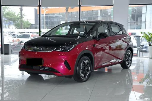 2026 BYD Dolphin EV | B2B Wholesale