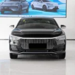2025 BYD E9 60.5KWH FWD | Fleet Procurement - Export Image 2