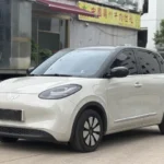 Used 2024 Wuling Bingo 333km FWD | Global Export - Export Image 1