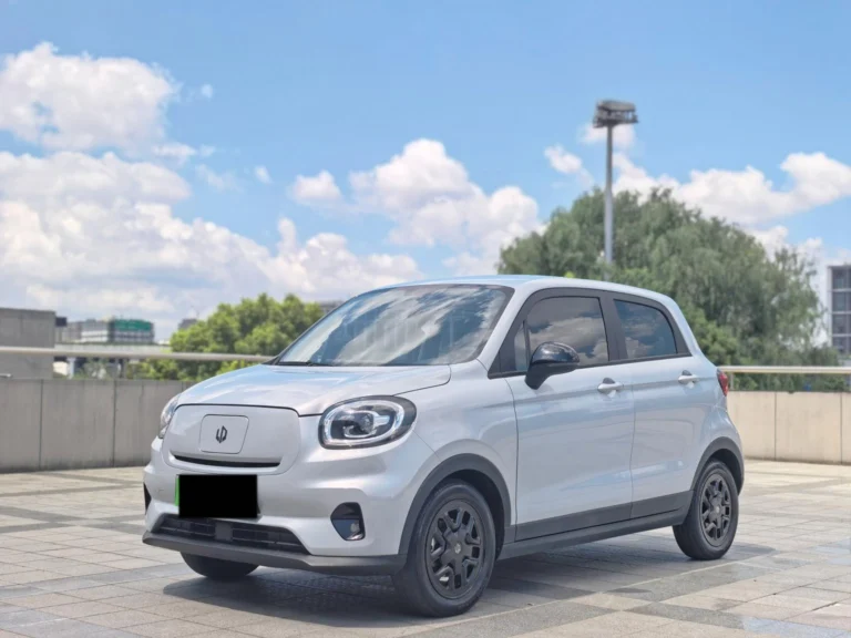 Used 2023 Leapmotor T03
